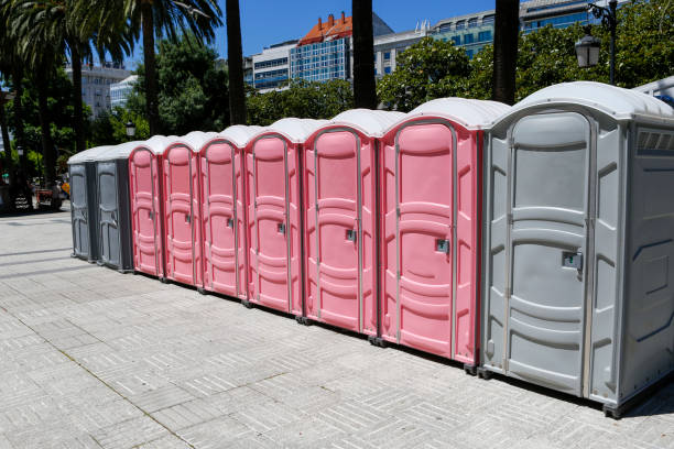 Best Portable Toilets with Baby Changing Stations  in Brentwood, TN